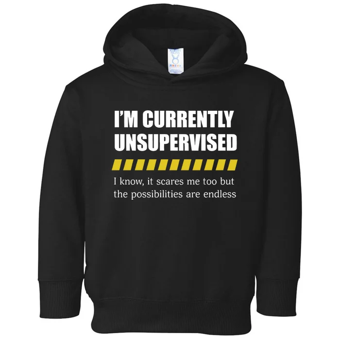 Colesweet IM Currently Unsupervised I Know It Scares Me Too But The Possibiliti Toddler Hoodie