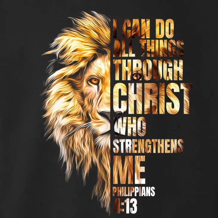 Christian I Can Do All Things Through Christ Lion Faith Toddler Hoodie