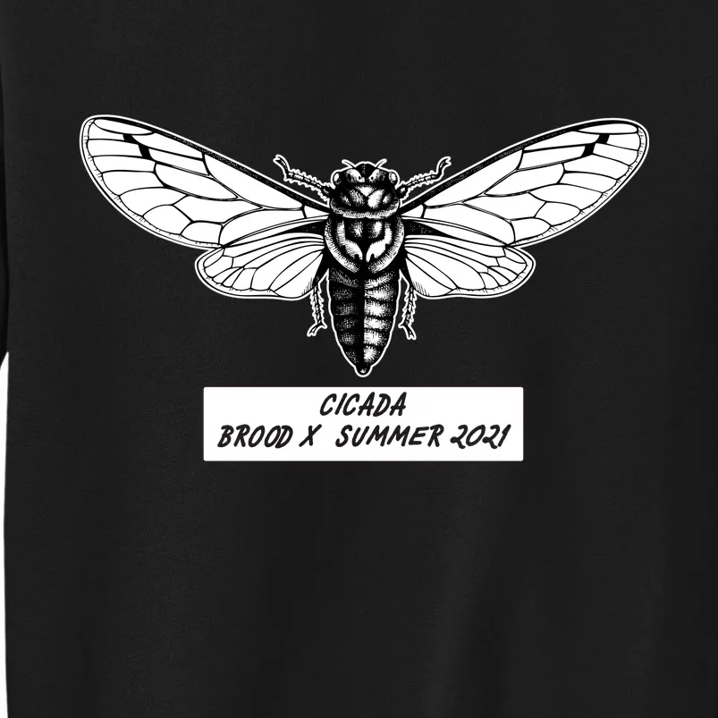 Cicada Brood X Summer 2021 Sweatshirt