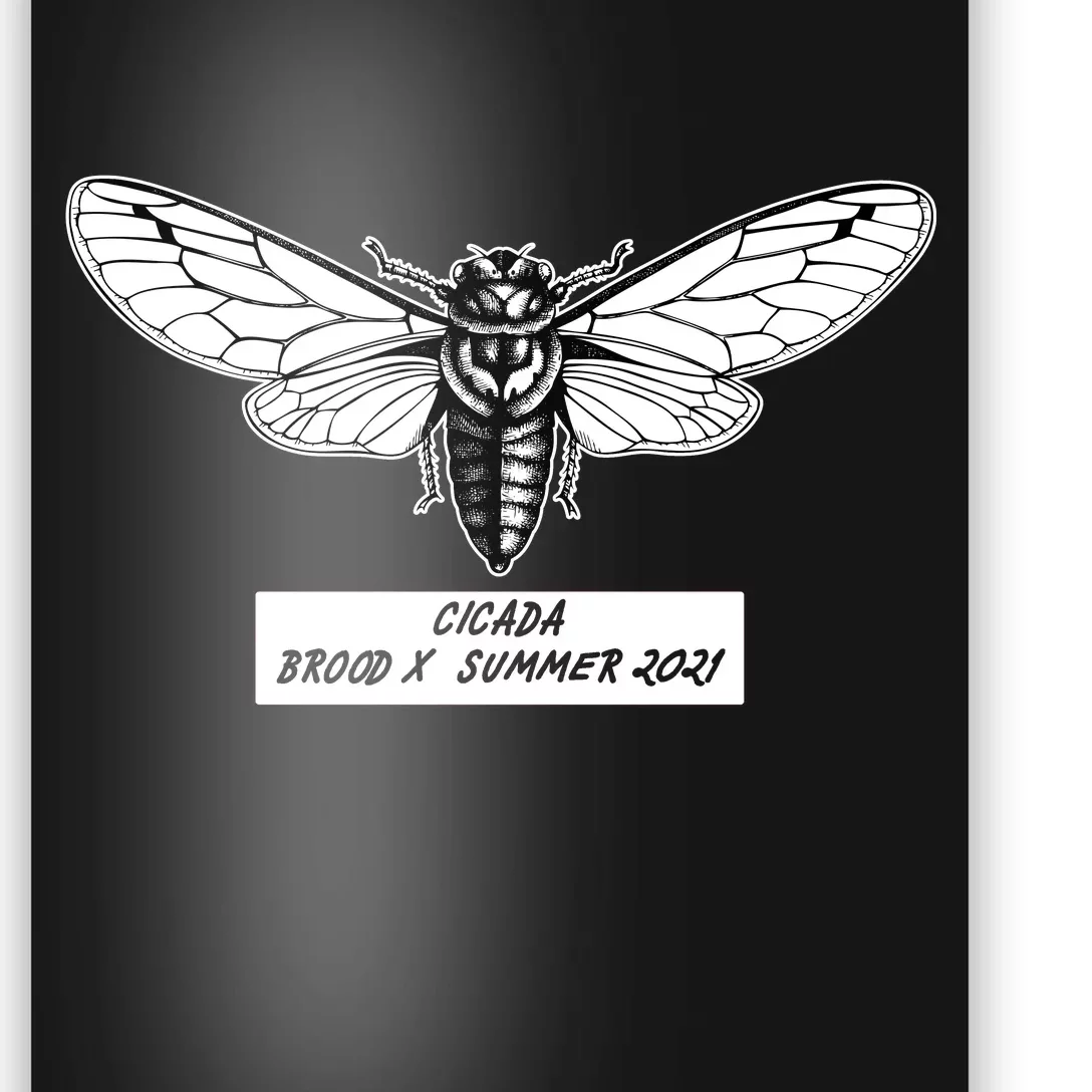 Cicada Brood X Summer 2021 Poster