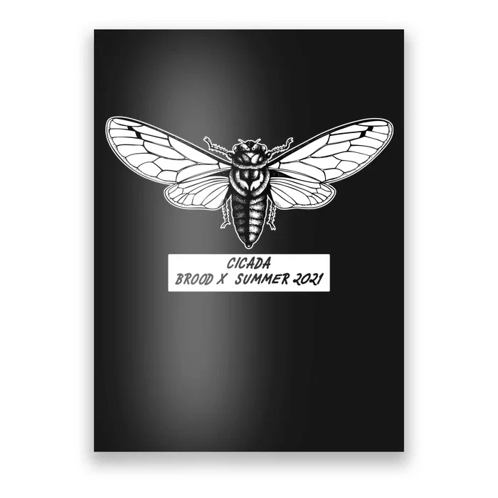 Cicada Brood X Summer 2021 Poster