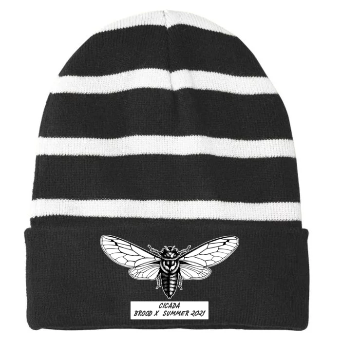 Cicada Brood X Summer 2021 Striped Beanie with Solid Band