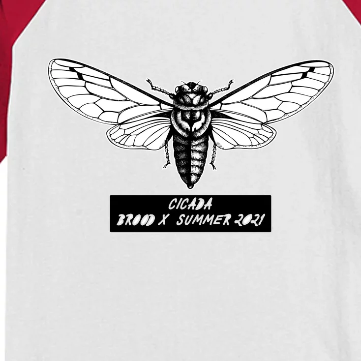 Cicada Brood X Summer 2021 Kids Colorblock Raglan Jersey