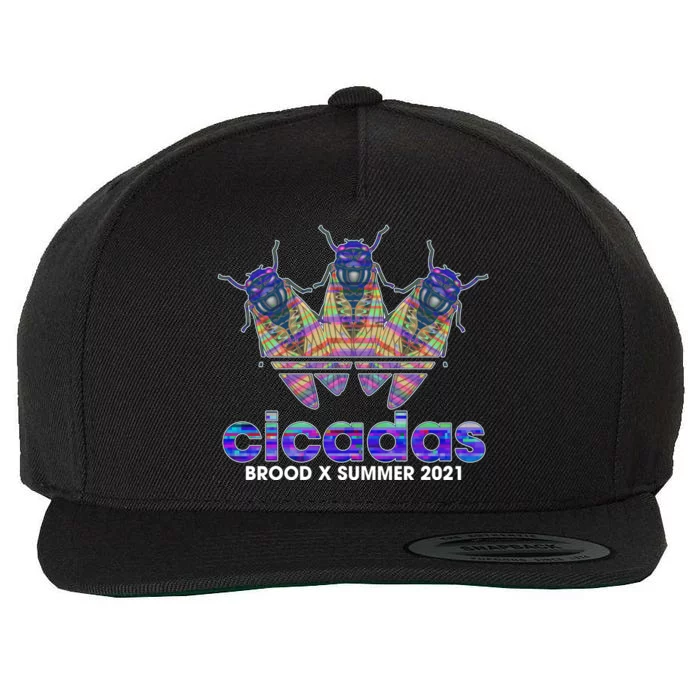 Cicadas Brood X Summer 2021 Sport Logo Wool Snapback Cap