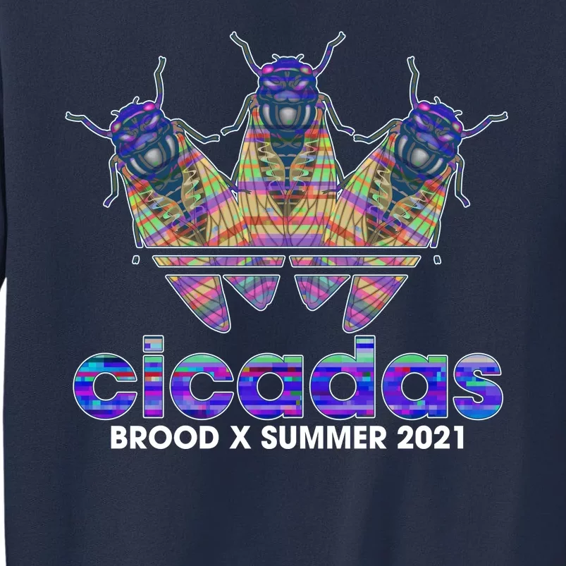 Cicadas Brood X Summer 2021 Sport Logo Sweatshirt