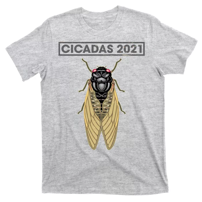 Cicadas Summer Brood X 2021 T-Shirt