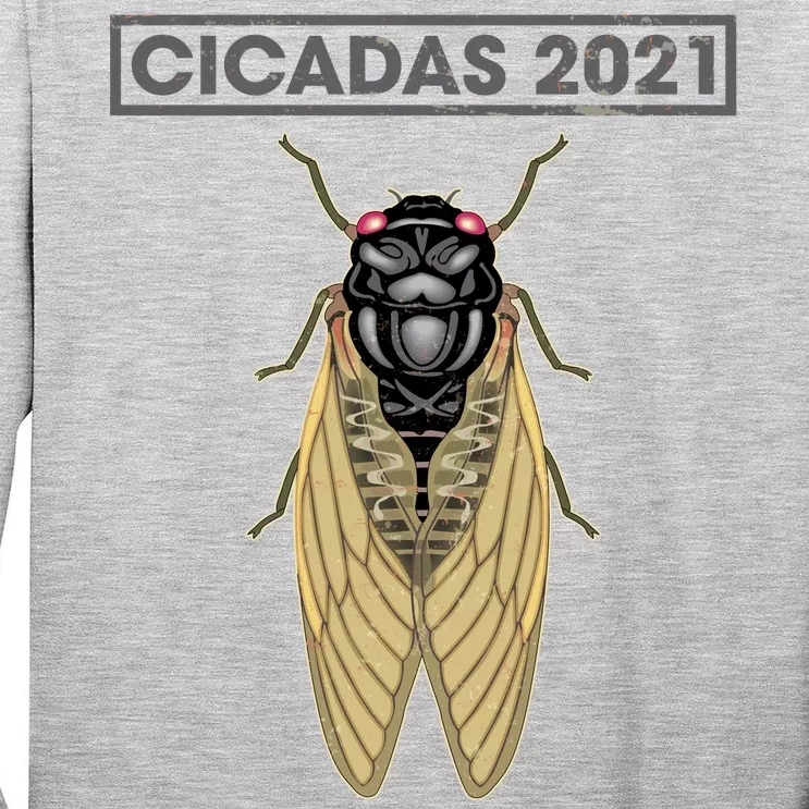 Cicadas Summer Brood X 2021 Tall Long Sleeve T-Shirt