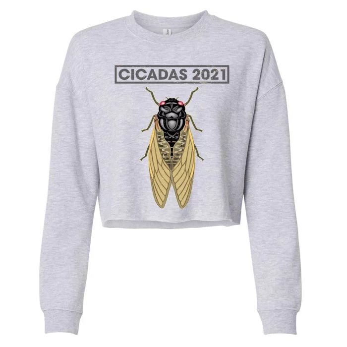 Cicadas Summer Brood X 2021 Cropped Pullover Crew