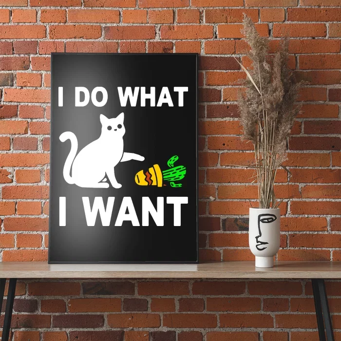 Cat I Do What I Want Poster