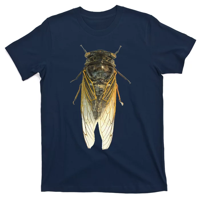 Cicada Insect Great Eastern Brood X Usa 2024 Magicicada T-Shirt