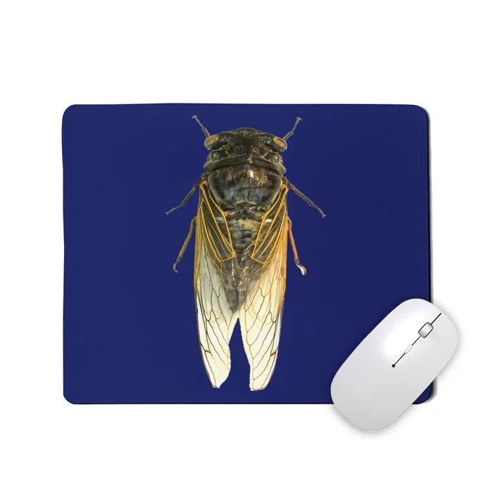 Cicada Insect Great Eastern Brood X Usa 2024 Magicicada Mousepad