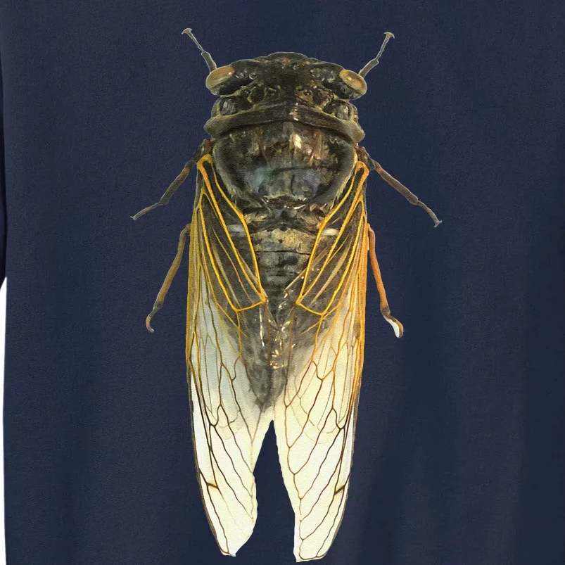 Cicada Insect Great Eastern Brood X Usa 2024 Magicicada Tall Sweatshirt