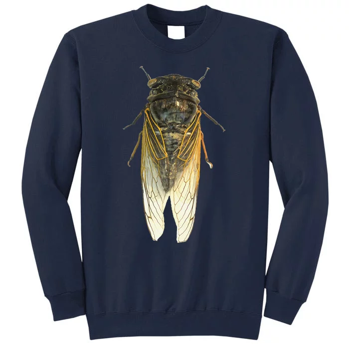 Cicada Insect Great Eastern Brood X Usa 2024 Magicicada Tall Sweatshirt