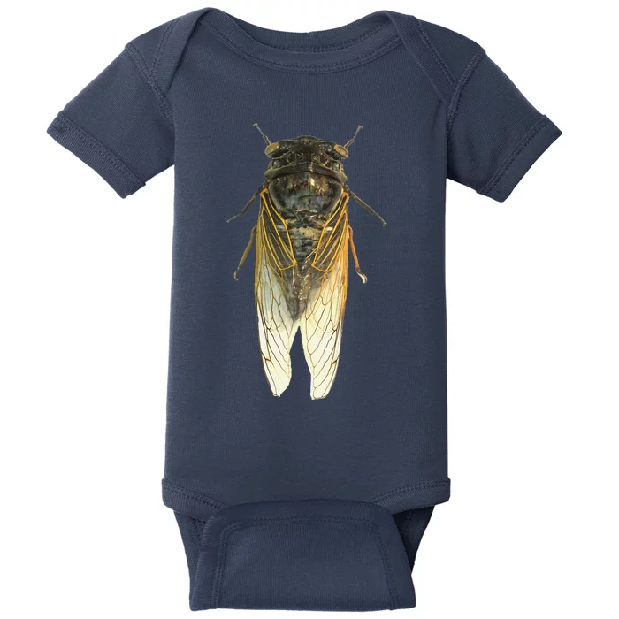 Cicada Insect Great Eastern Brood X Usa 2024 Magicicada Baby Bodysuit