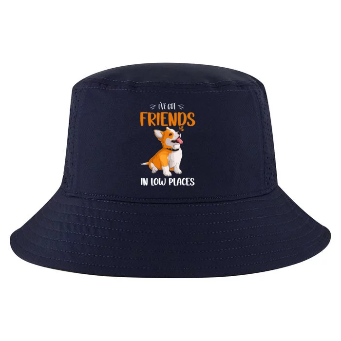 Corgi I've Got Friends In Low Places Pembroke Welsh Lover Gift Cool Comfort Performance Bucket Hat