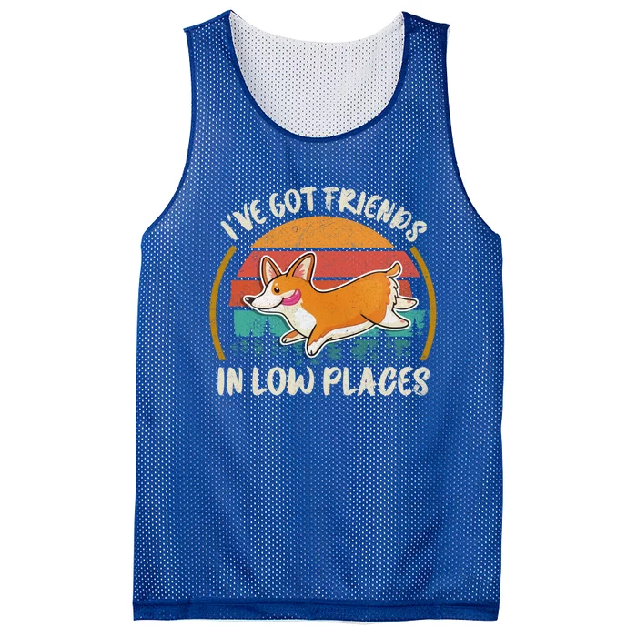 Corgi I've Got Friends In Low Places Pembroke Welsh Lover Gift Mesh Reversible Basketball Jersey Tank