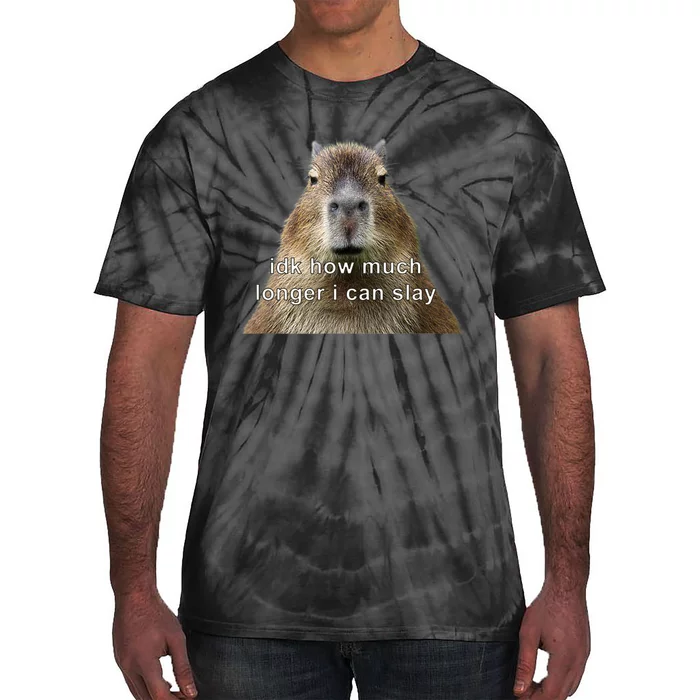 Capybara Idk How Much Longer I Can Slay Tie-Dye T-Shirt