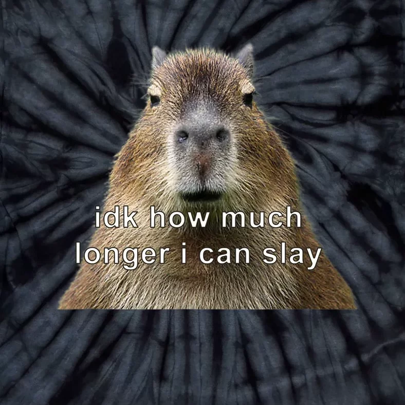 Capybara Idk How Much Longer I Can Slay Tie-Dye T-Shirt