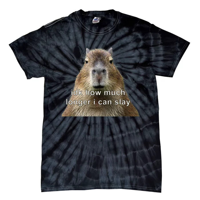 Capybara Idk How Much Longer I Can Slay Tie-Dye T-Shirt