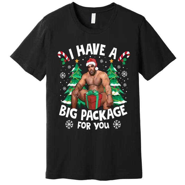 Christmas I Have A Big Package For You Naughty Big Black Guy Premium T-Shirt