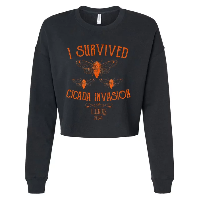 Cicada Invasion Illinois Usa 2024 Insect Entomology Orange Cropped Pullover Crew