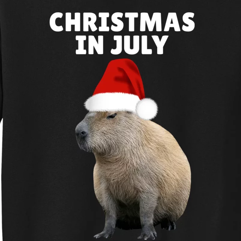 Christmas In July Capybara Ok I Pull Up Tall Sweatshirt