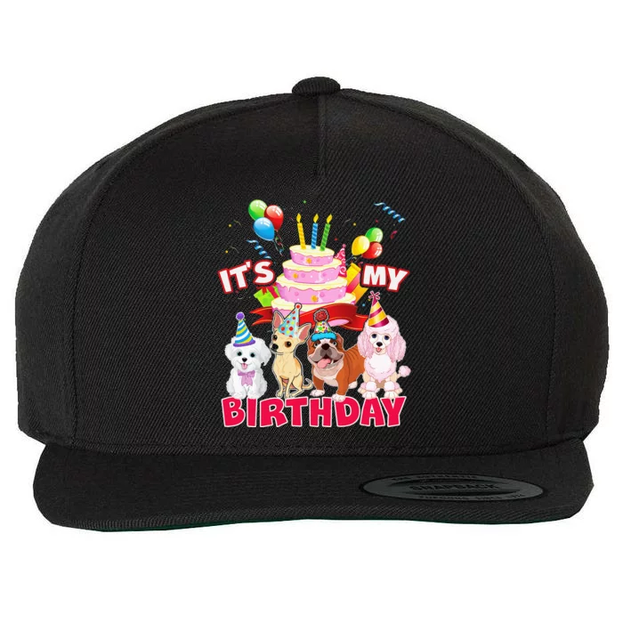 Cute It's My Birthday Dog and Puppy Theme Party Day Costume Wool Snapback Cap