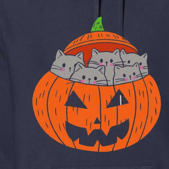 Cats In Pumpkin Carved Jack O Lantern Cat Halloween Costume Premium Hoodie