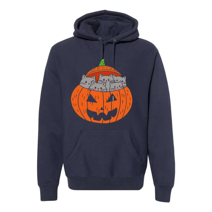 Cats In Pumpkin Carved Jack O Lantern Cat Halloween Costume Premium Hoodie