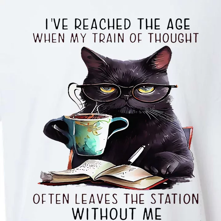 Cat IVe Reached The Age Often Leave The Station Without Me Sueded Cloud Jersey T-Shirt