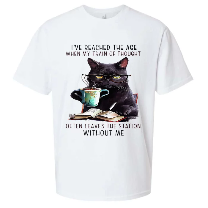 Cat IVe Reached The Age Often Leave The Station Without Me Sueded Cloud Jersey T-Shirt