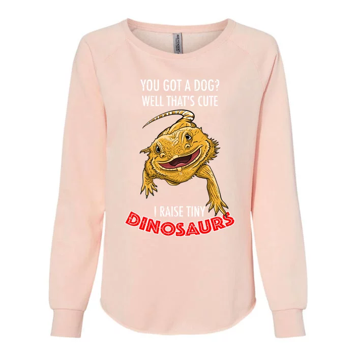 Cool I Raise Tiny Dinosaurs Funny Bearded Dragon Pet Gift Meaningful Gift Womens California Wash Sweatshirt