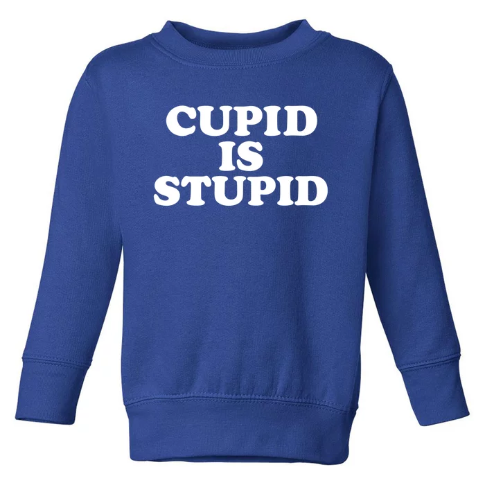 Cupid Is Stupid Anti Valentines Singles Awareness Day Meaningful Gift Toddler Sweatshirt