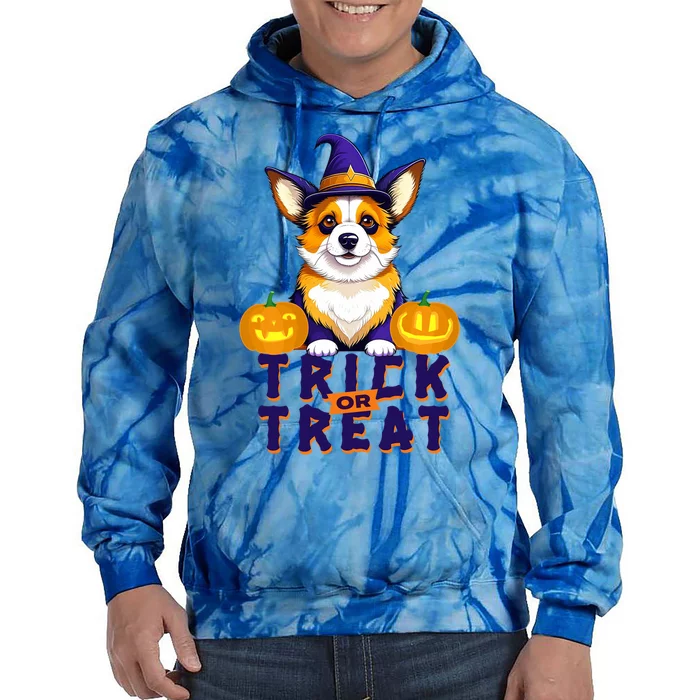 Corgi In Witch Hat Trick Or Treat Pumpkins Dog Halloween Gift Tie Dye Hoodie