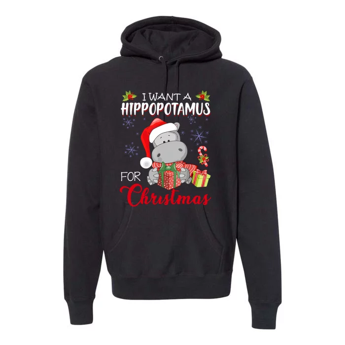 Christmas I Want A Hippopotamus For Xmas Hippo For Kids Gift Premium Hoodie