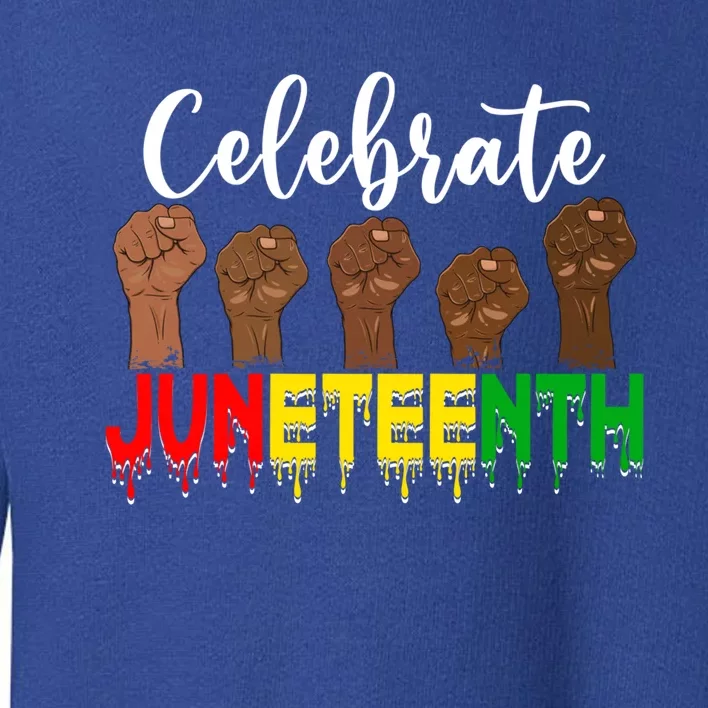 Celebrate Juneteenth Freedom Day Independence 1865 Cool Gift Toddler Sweatshirt