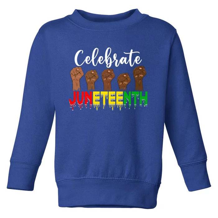 Celebrate Juneteenth Freedom Day Independence 1865 Cool Gift Toddler Sweatshirt