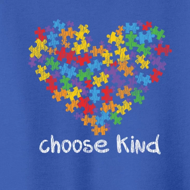 Choose Kind Autistic Autism Awareness Antibullying Gift Toddler T-Shirt