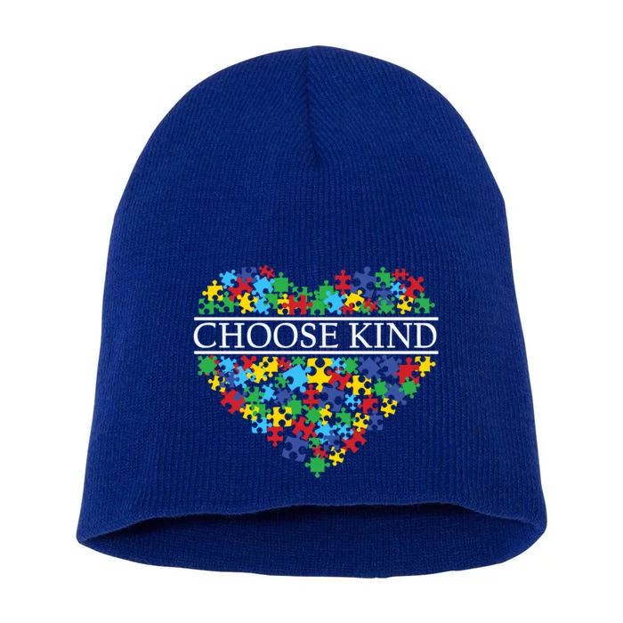 Choose Kind Autism Heart Autism Awareness Day Gift Short Acrylic Beanie