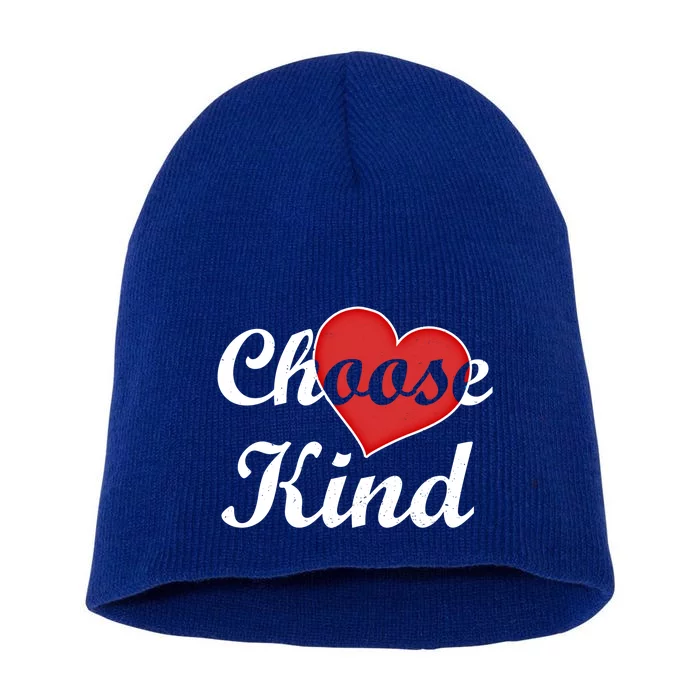 Choose Kind Autism Awarness Antibullying Gift Gift Short Acrylic Beanie