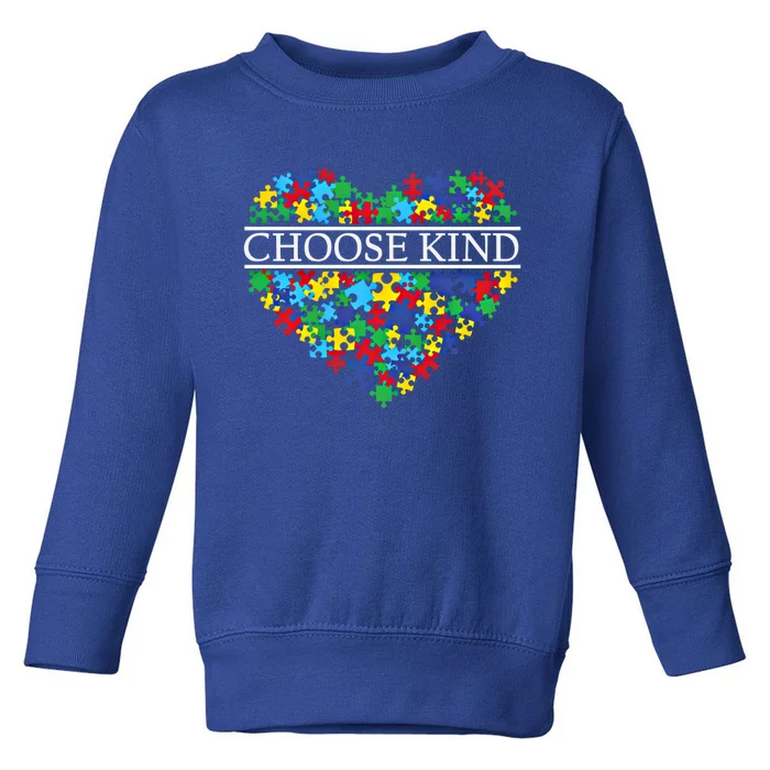 Choose Kind Autism Heart Autism Awareness Day Gift Toddler Sweatshirt