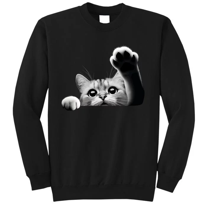 Cute Kitten Big Eyes Cat Outstretched Paw Sweatshirt