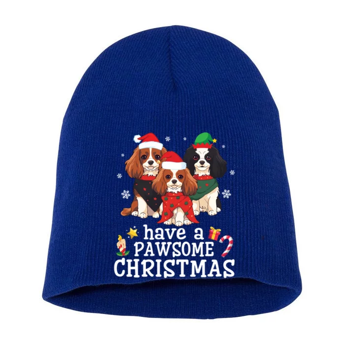 Cavalier King Charles Spaniel Dogs Have A Pawsome Christmas Gift Short Acrylic Beanie