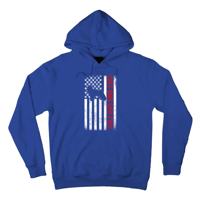 Cavalier King Charles Spaniel Dad Best Dog Dad Ever Usa Flag Cool Gift Hoodie