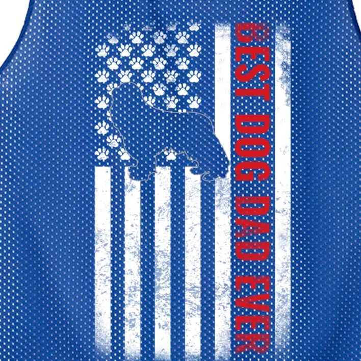 Cavalier King Charles Spaniel Dad Best Dog Dad Ever Usa Flag Cool Gift Mesh Reversible Basketball Jersey Tank