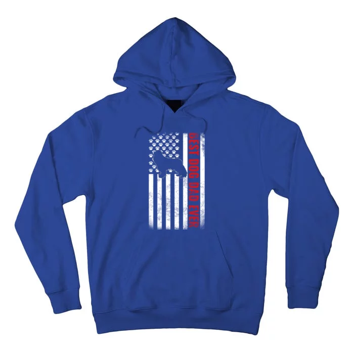 Cavalier King Charles Spaniel Dad Best Dog Dad Ever Usa Flag Cool Gift Tall Hoodie