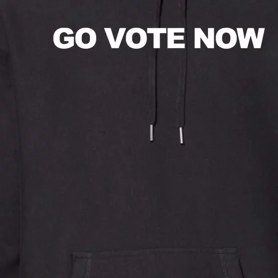 Charlie Kirk Wearing Go Vote Now Premium Hoodie