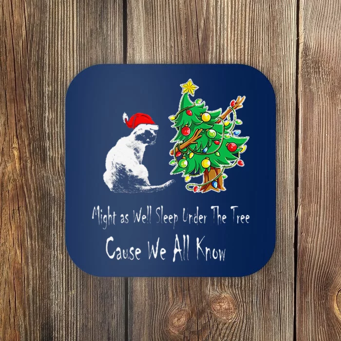 Cat Lover Art IM The Gift In The Family Funny Christmas Coaster