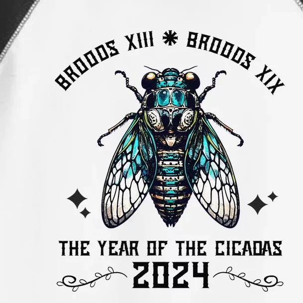 Cicada Lover Brood Xix Brood Xiii Year Of The Cicada 2024 Toddler Fine Jersey T-Shirt