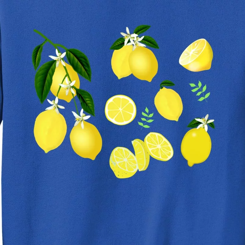 Cute Lemon Botanical Gardening Summertime Lemon Lover Great Gift Sweatshirt